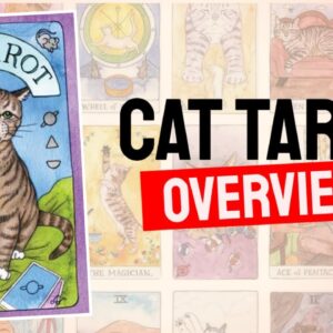 Cat Tarot Deck REVIEW - All Cards List Review!