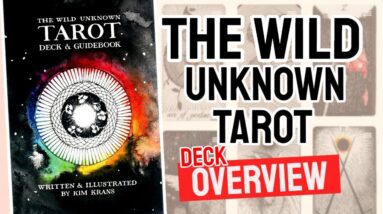 the wild unknown tarot deck review