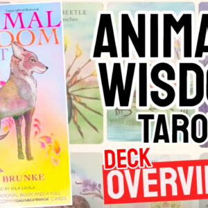 Animal-Wisdom-Tarot-Review
