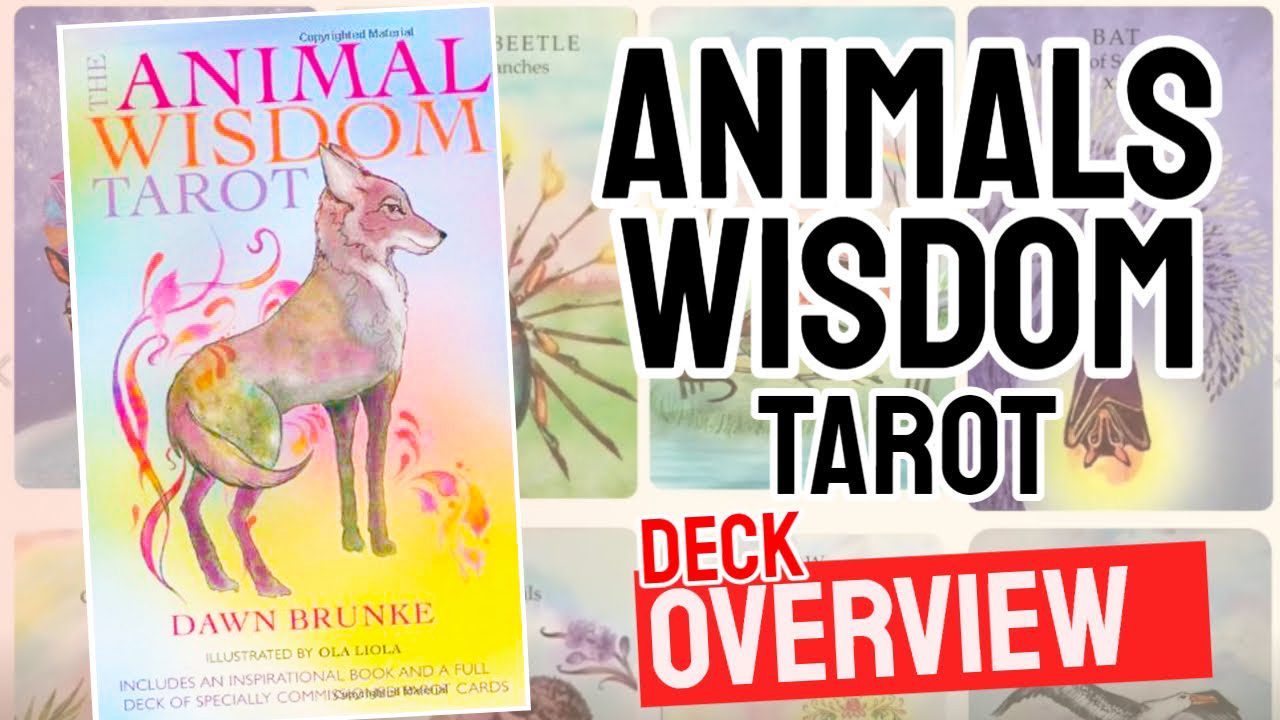 Animal Wisdom Tarot Review