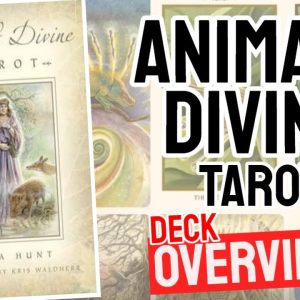 Animal Divine Tarot  Deck Review (All 78 Animal Divine Tarot  Cards Revealed!)