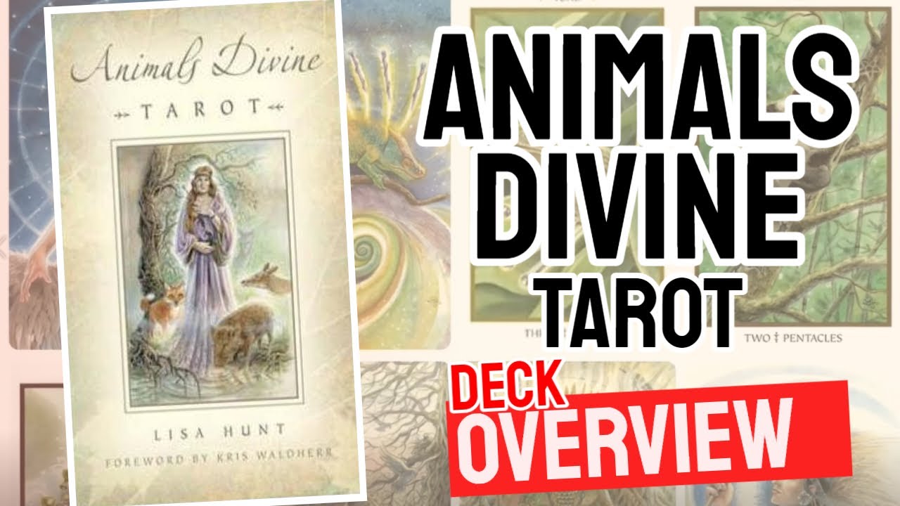 Animals Divine Tarot Review