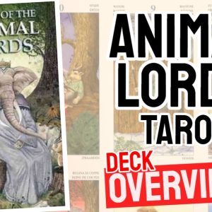 Animal Lords Tarot Deck Review (All 78 Animal Lords Tarot  Cards Revealed!)