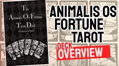 Animalis Os Fortune Tarot Deck Review (All 78 Animalis Os Fortune Tarot  Cards Revealed!)