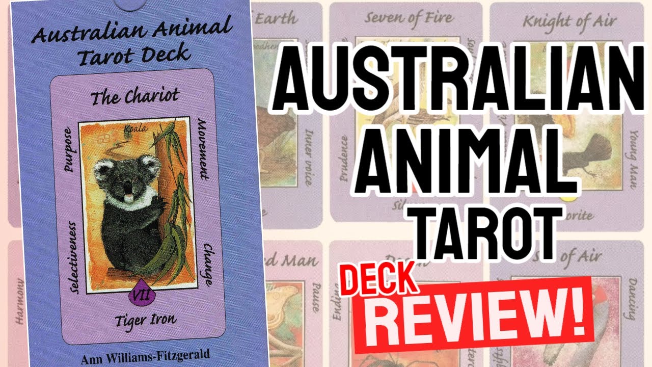 Australian Animal Tarot Review