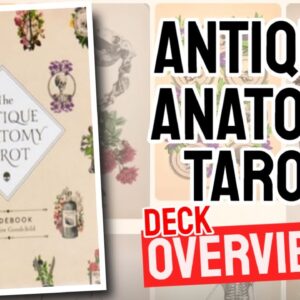 Antique Anatomy Tarot Review (All 78 Antique Anatomy Tarot Cards Revealed!)