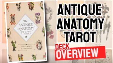 Antique Anatomy Tarot Review (All 78 Antique Anatomy Tarot Cards Revealed!)