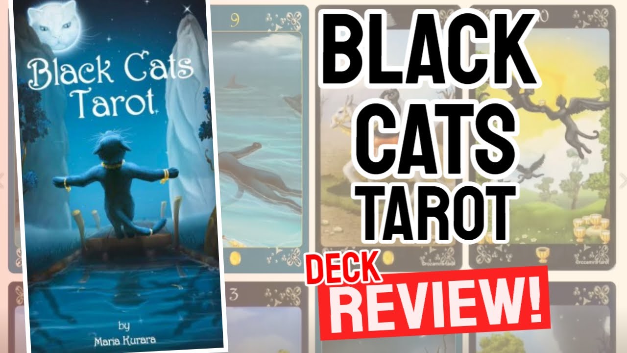 Black Cats Tarot Review