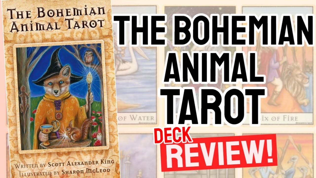 Bohemian Animal Tarot Review