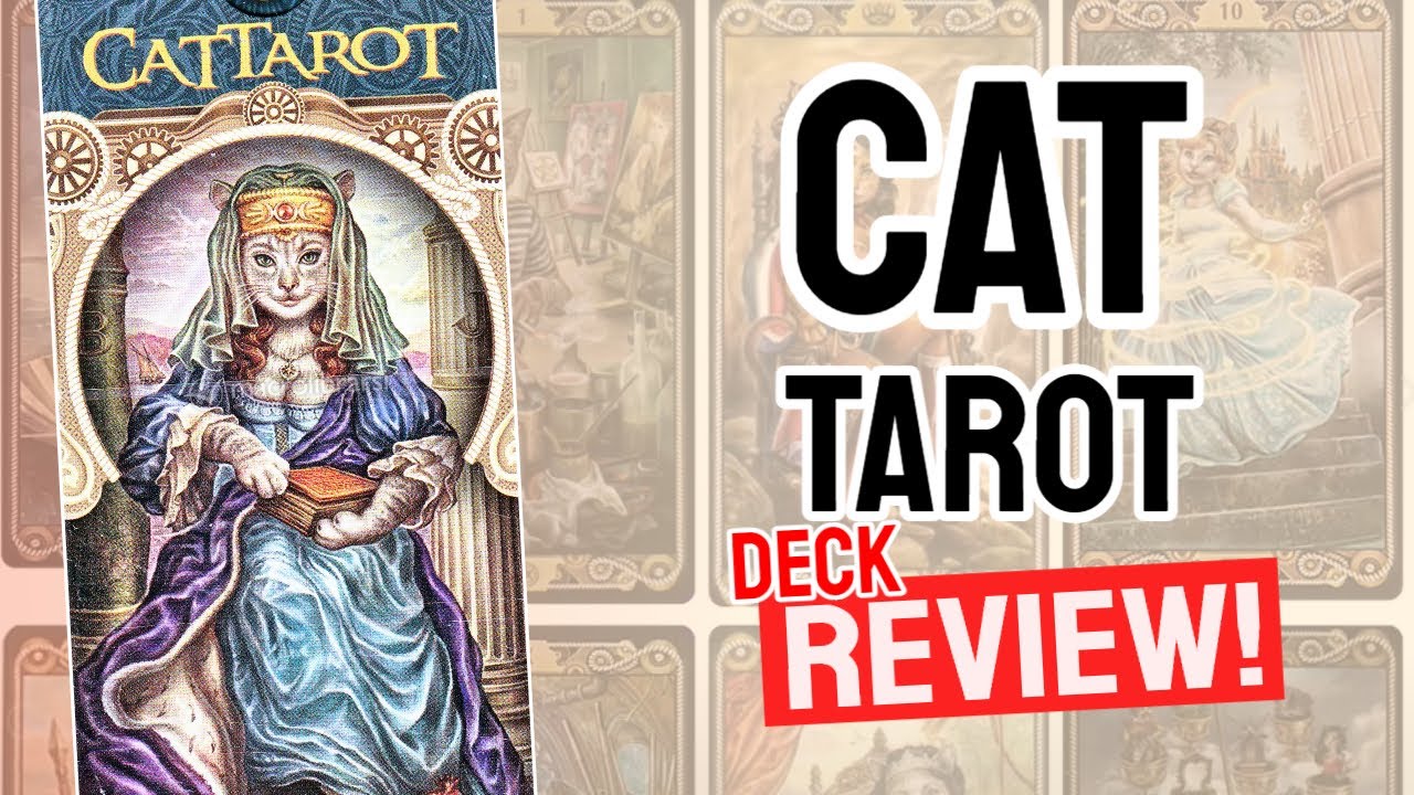 Cat Tarot Review